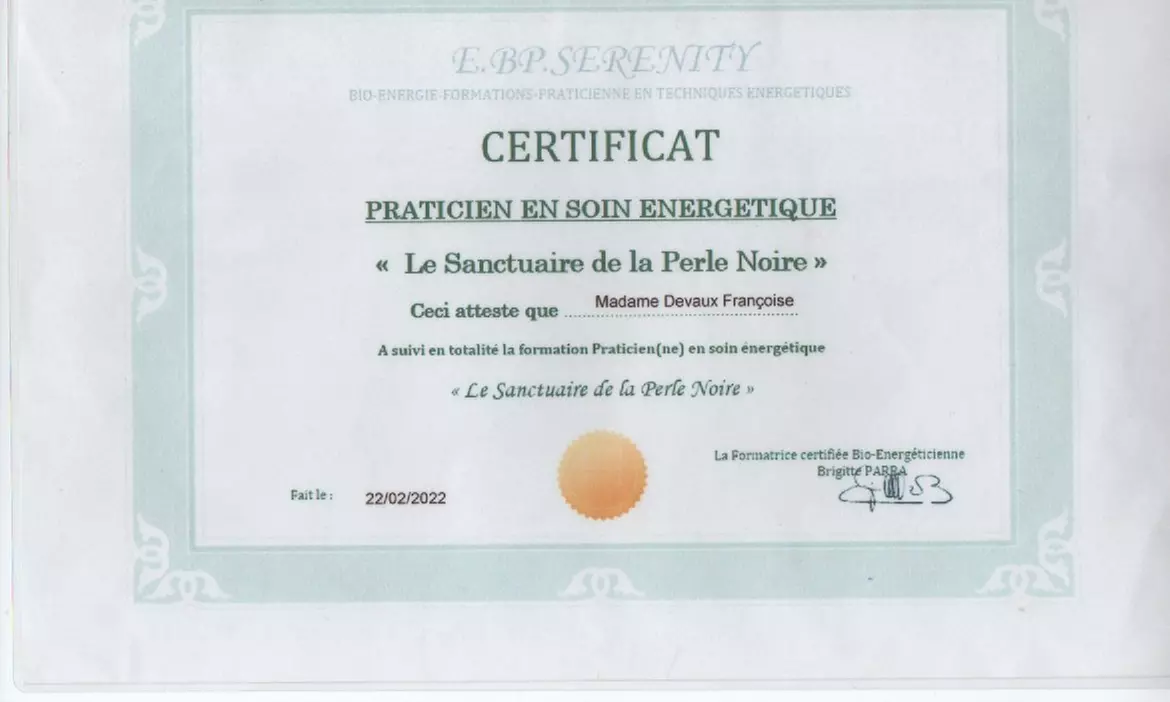 Jusqu'à 49% de remise sur Détoxification chez Devaux Françoise Praticienne en Lithothérapie