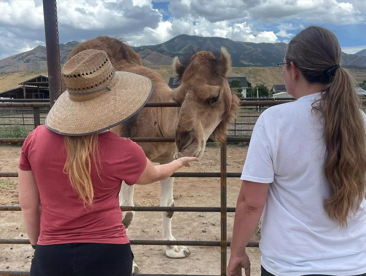 Up to 62% Off on Petting Zoo at Otters and Others Zoo and Conservation - Primary Image