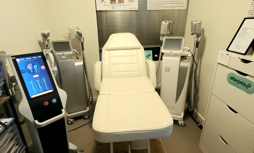 Image 2: 360-Degree Fat Freezing Session