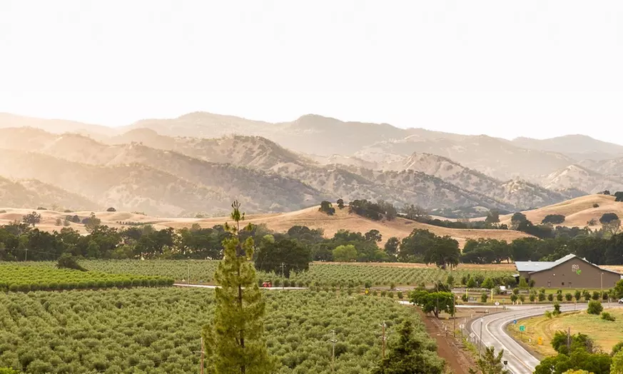Discover S ka Hills Olive Mill and Winery's wine tasting, olive oil tours, and more with up to 23% savings in Capay Valley - Primary Image