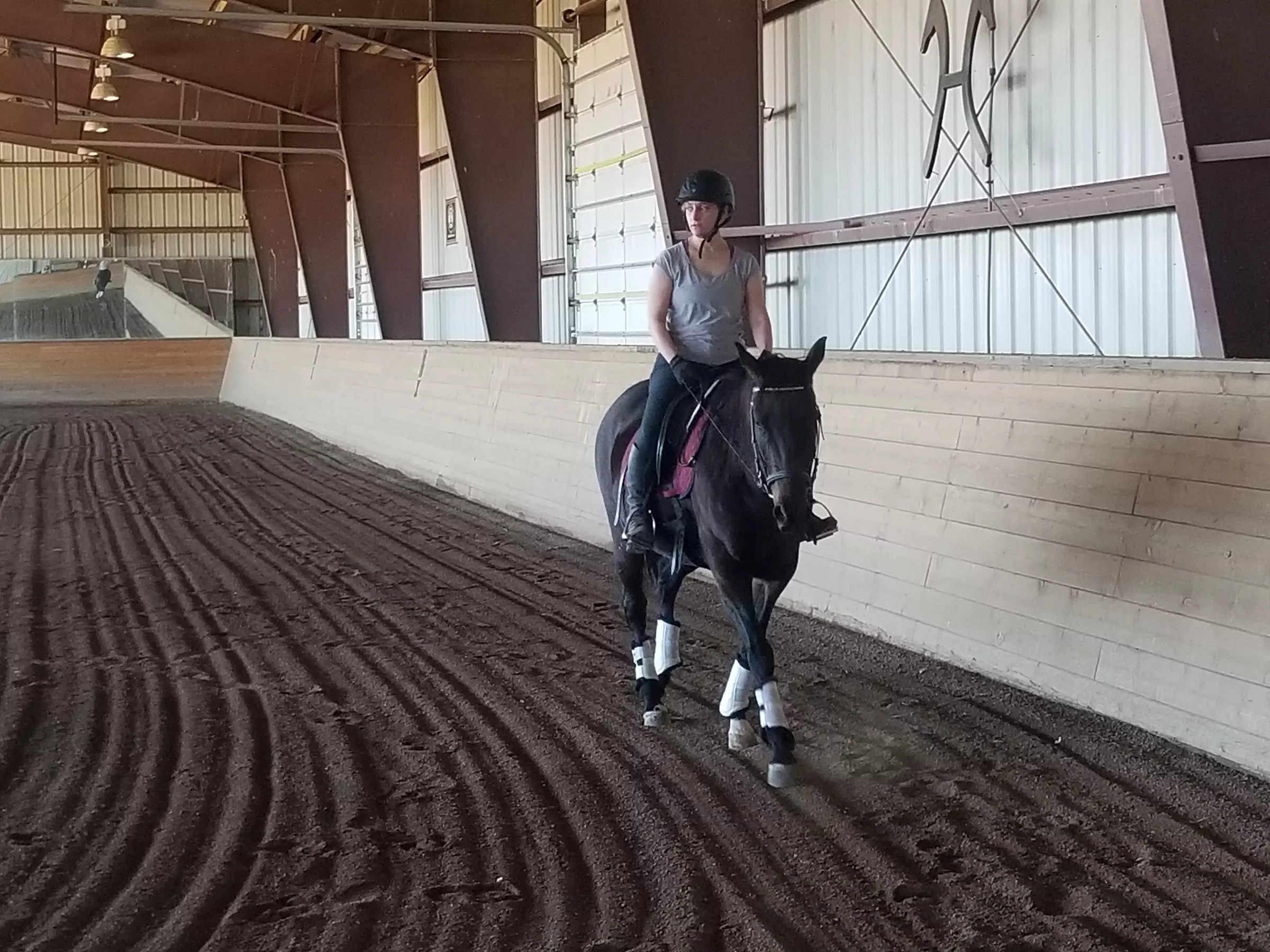 Up to 36% Off on Horse Back Riding at Harmony Horsemanship - Primary Image