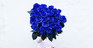 Up to 71% Off on Flower Delivery at Rosaholics Corp