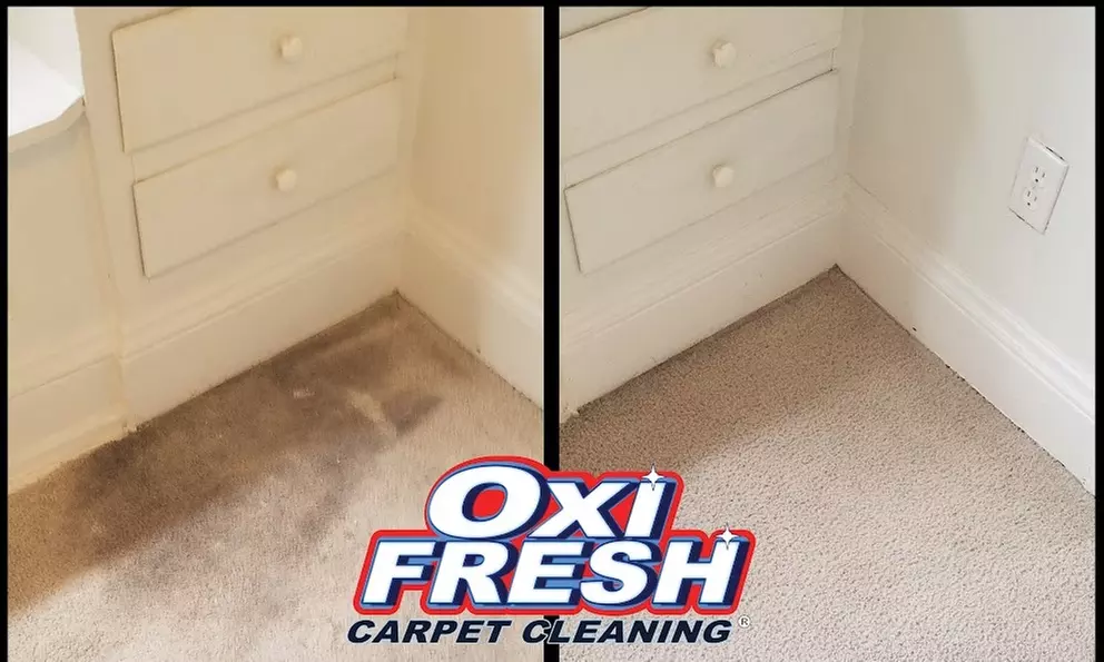 Refresh Your Home with Two or Five Rooms Cleaned or One Sofa Cleaned at One Sofa Cleaned ( Up to 20% Off ) - Primary Image