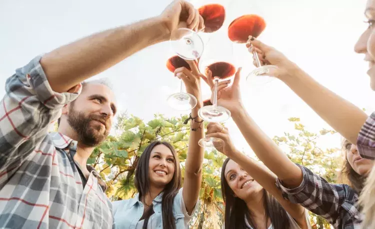 Dégustation de 12 vins du monde à domicile dans les hauts-De-France