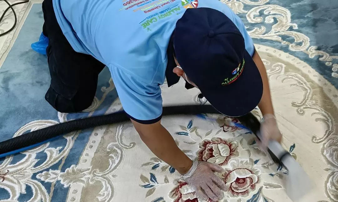 Allergy Care Cleaning Services