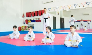 Up to 59% Off on Martial Arts / Karate / MMA