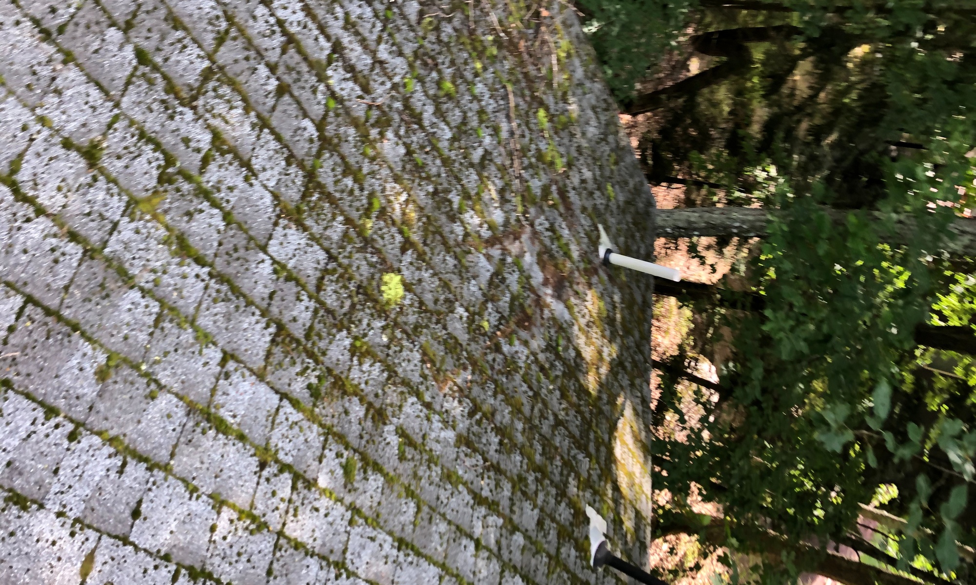Up to 55% Off on Roofing Services at All Clear Pro