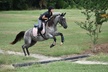 Up to 35% Off on Horse Back Riding - Recreational at Celestial Riding Academy - Second Medium