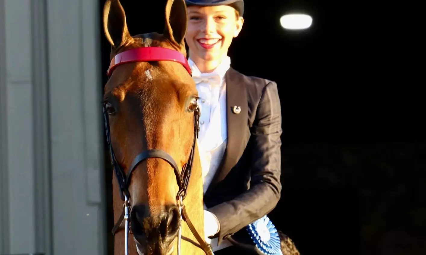 Try Saddle Seat Riding with 2, 4, or 8 Horse Back Riding Lessons 