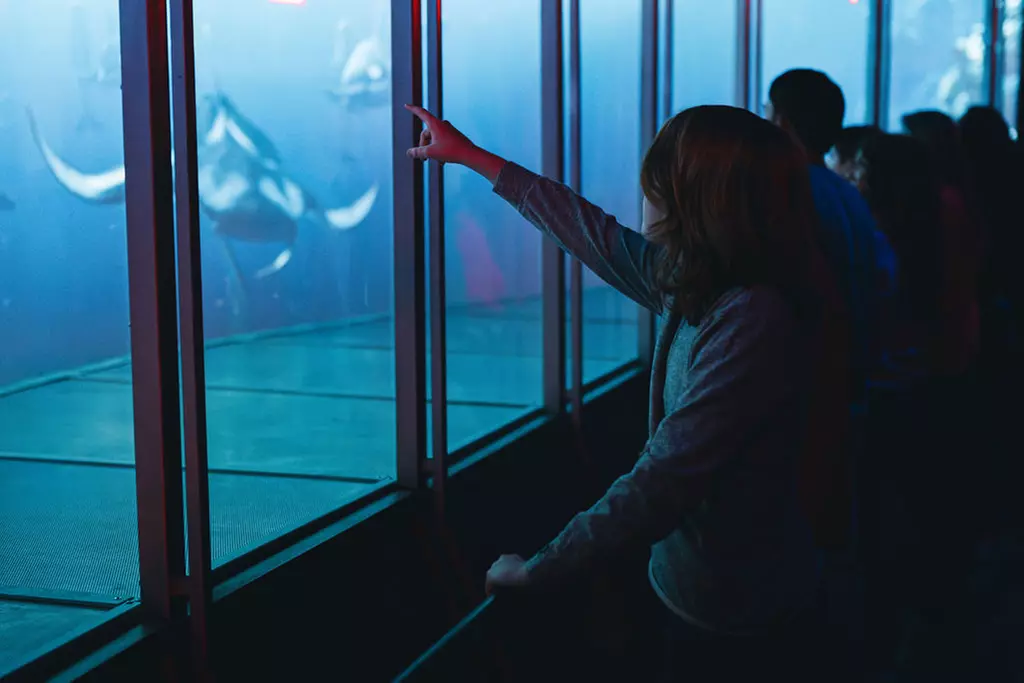 Immersive Ocean Journey: XPERIA Ocean Journey's Digital Adventure