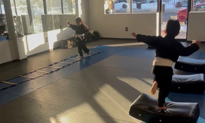 Image 2: Kids Martial Arts Start Package Age (3-12)
