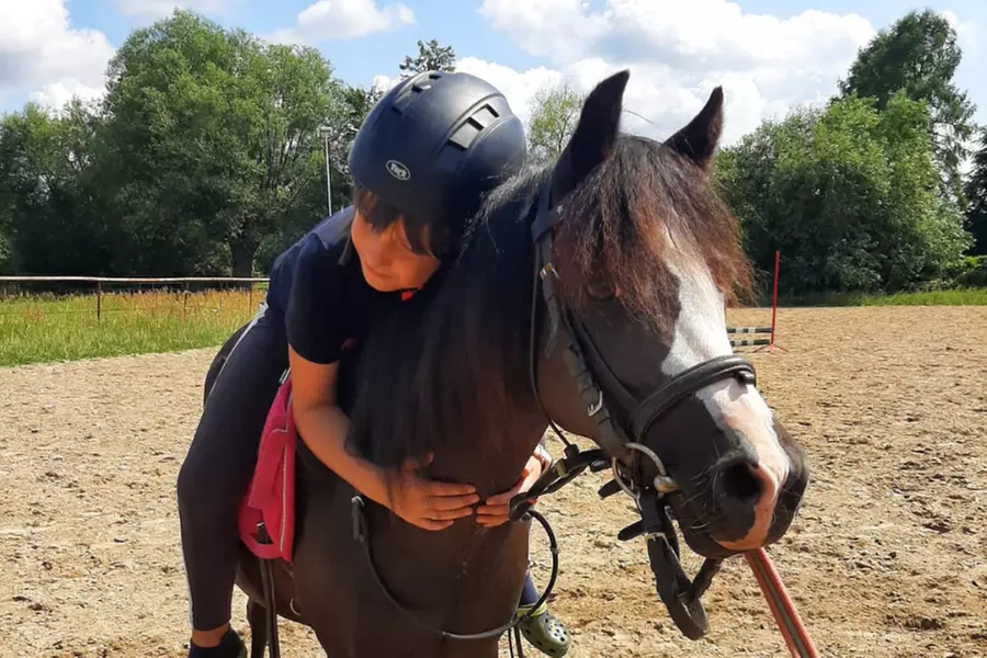 Do 12% zniżki na Jazda konna - rekreacyjna w MK wings - Image 2