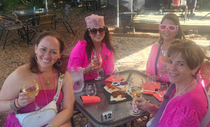 Image 2: Up to 20% Off on Wine / Vineyard Tour at Serendipity Wine 