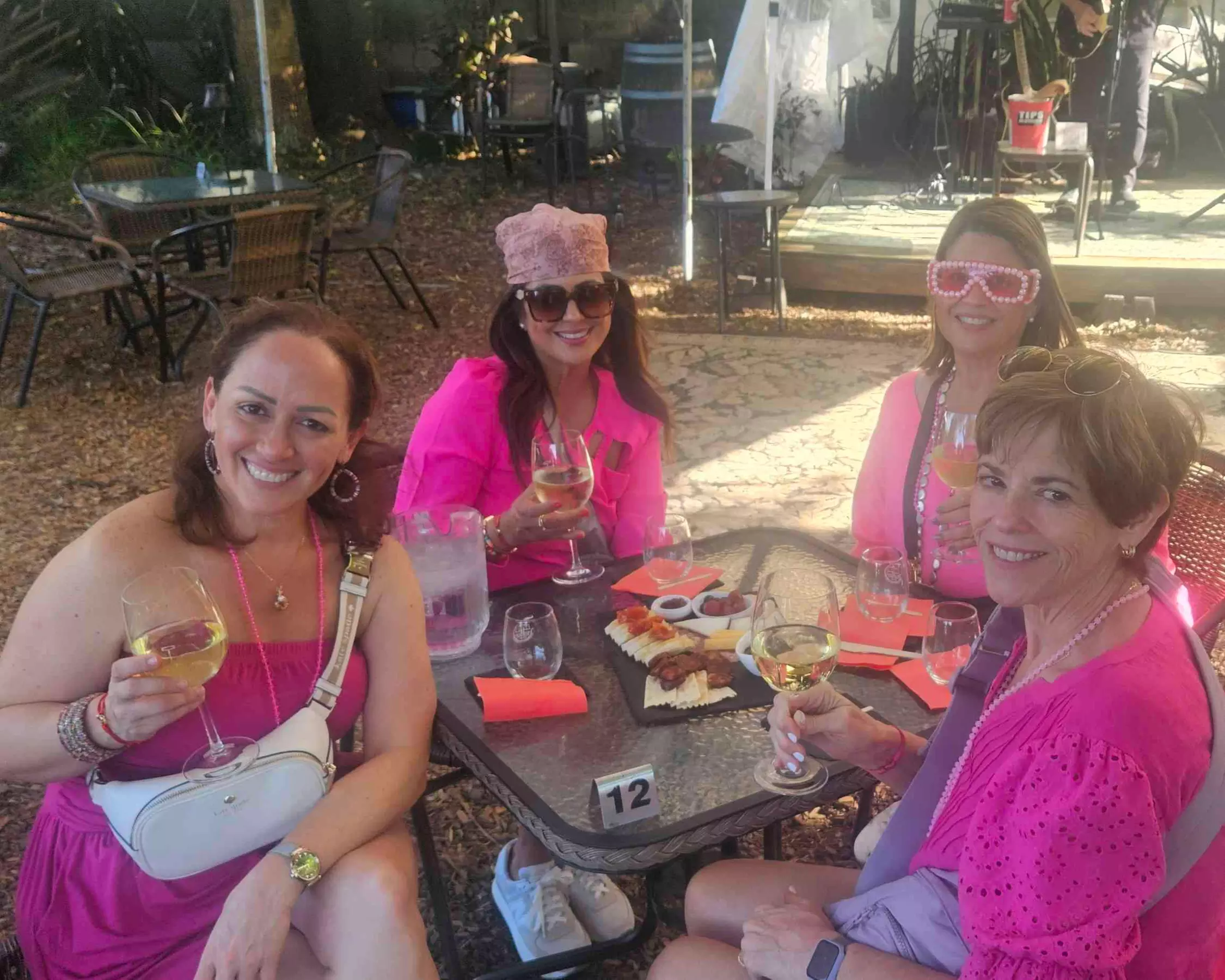 Up to 20% Off on Wine / Vineyard Tour at Serendipity Wine Tasting Tours