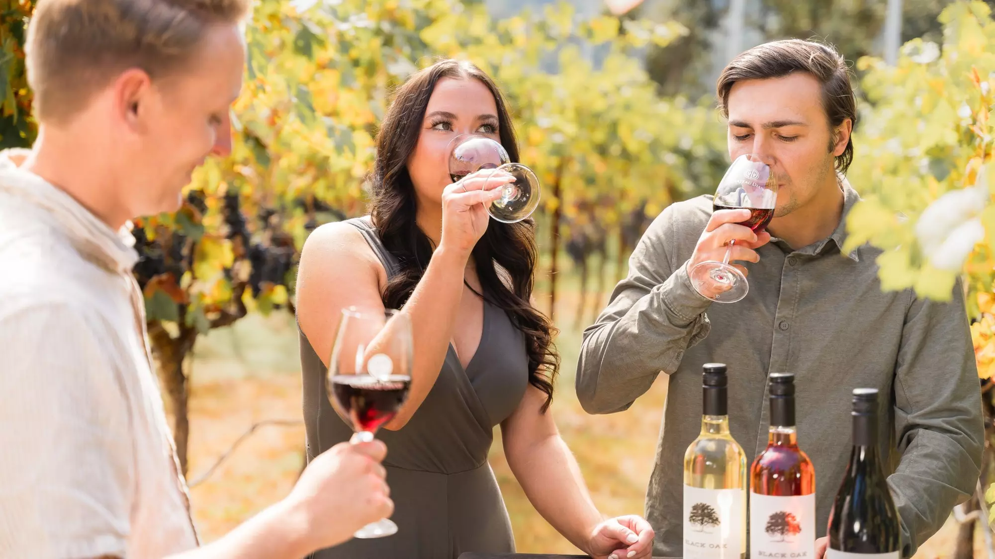 Up to 51% Off on Wine Tasting for Four People at Chateau Diana - Primary Image