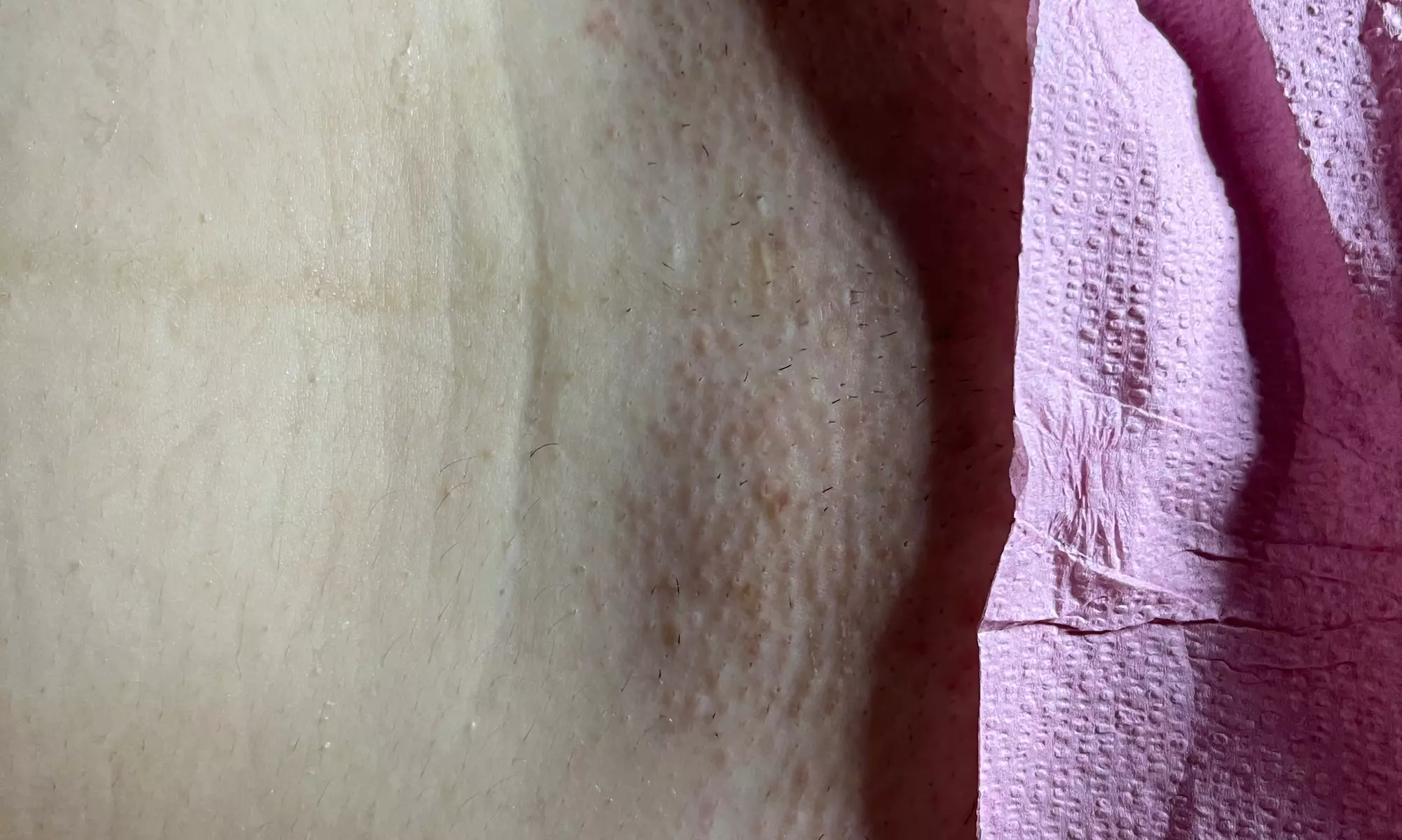 Up to 10% Off on Waxing at Pitties N Kitties - Second Medium