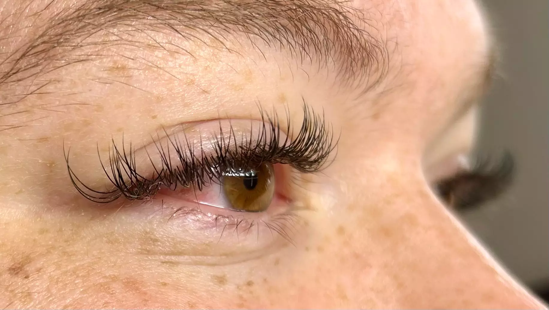 Up to 15% Off on Eyelash Extensions at The Lash Queen - Primary Image