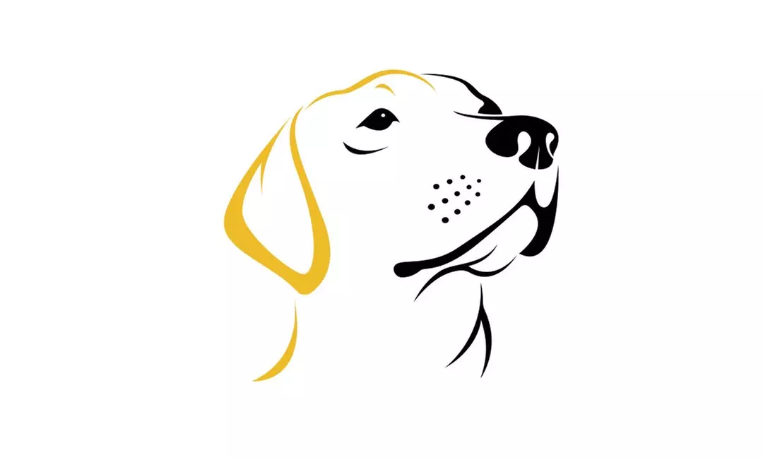 Up to 50% Off on Pet Obedience School at Alpha Canine - Primary Image