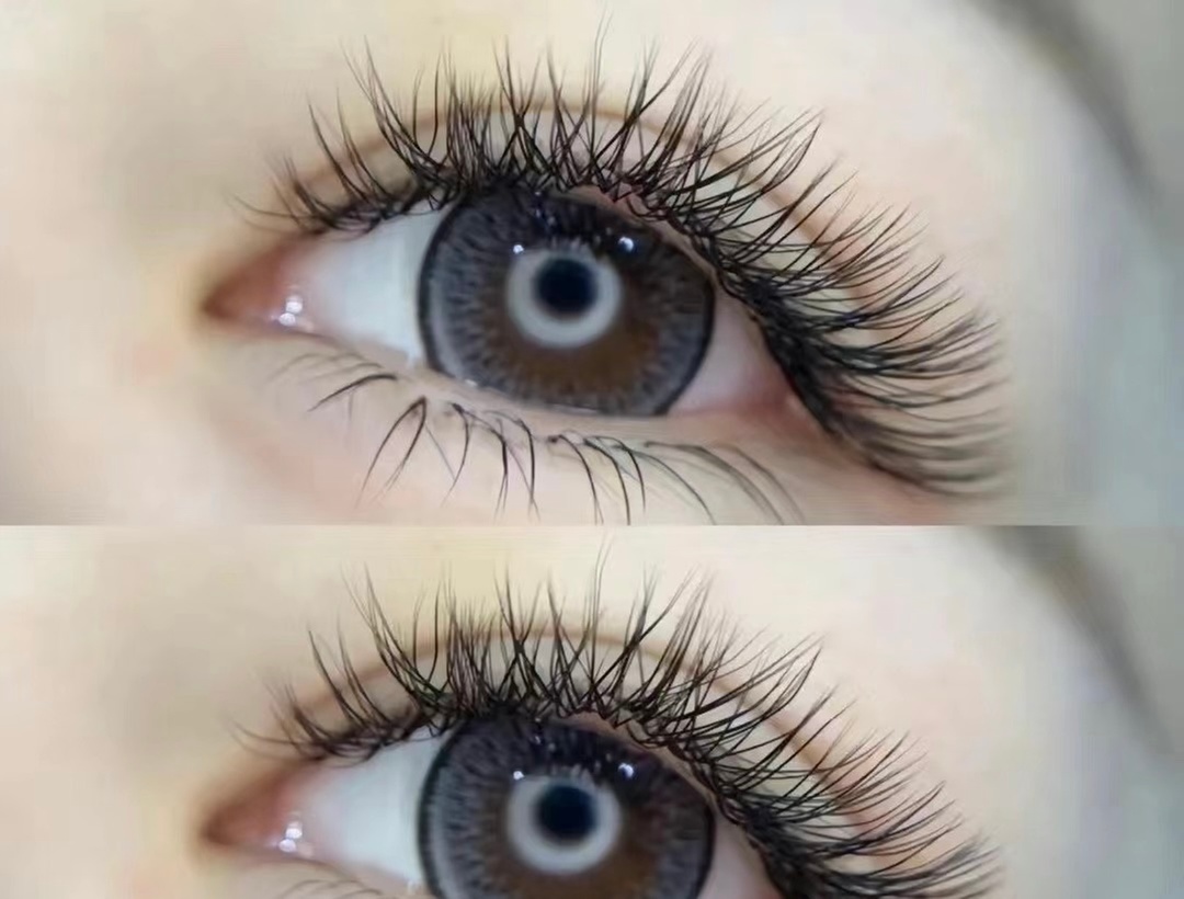 Up to 51% Off on Eyelash Perm at One Plush Lash Bar