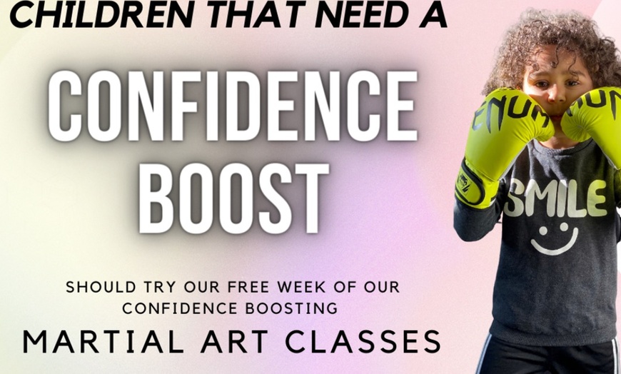 Image 4: Up to 64% Off at Martial Arts Centre of Excellence Stourbridge