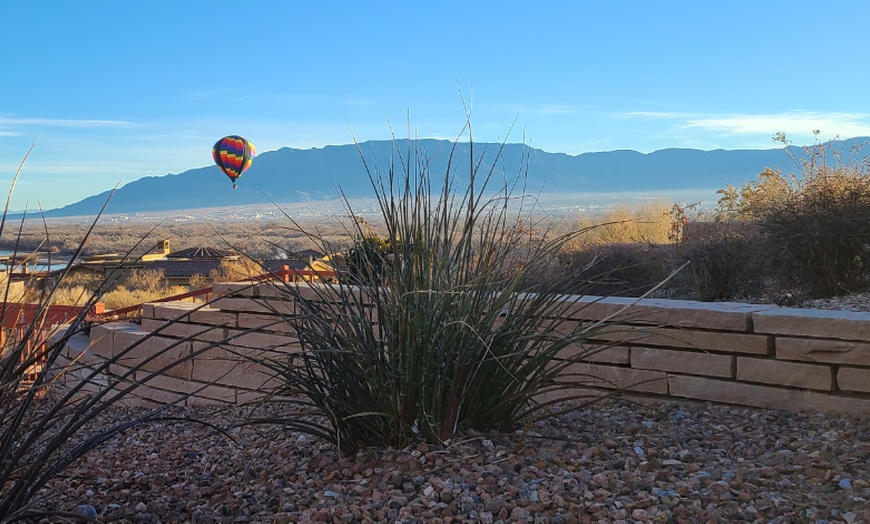 Image 6: Experience Hot Air Balloon Ride over Rio Grande Valley