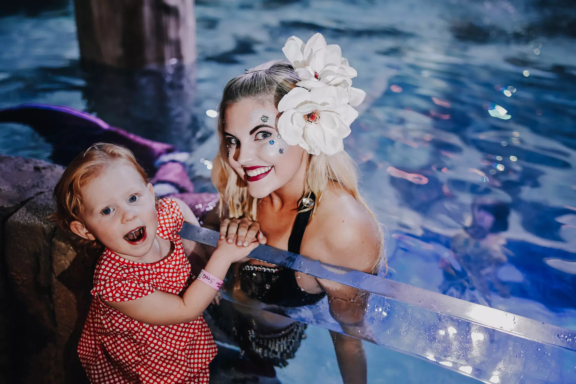 Up to 30% Off on Party - Children's at Seaquest Aquarium Trumbull Ct - Primary Image