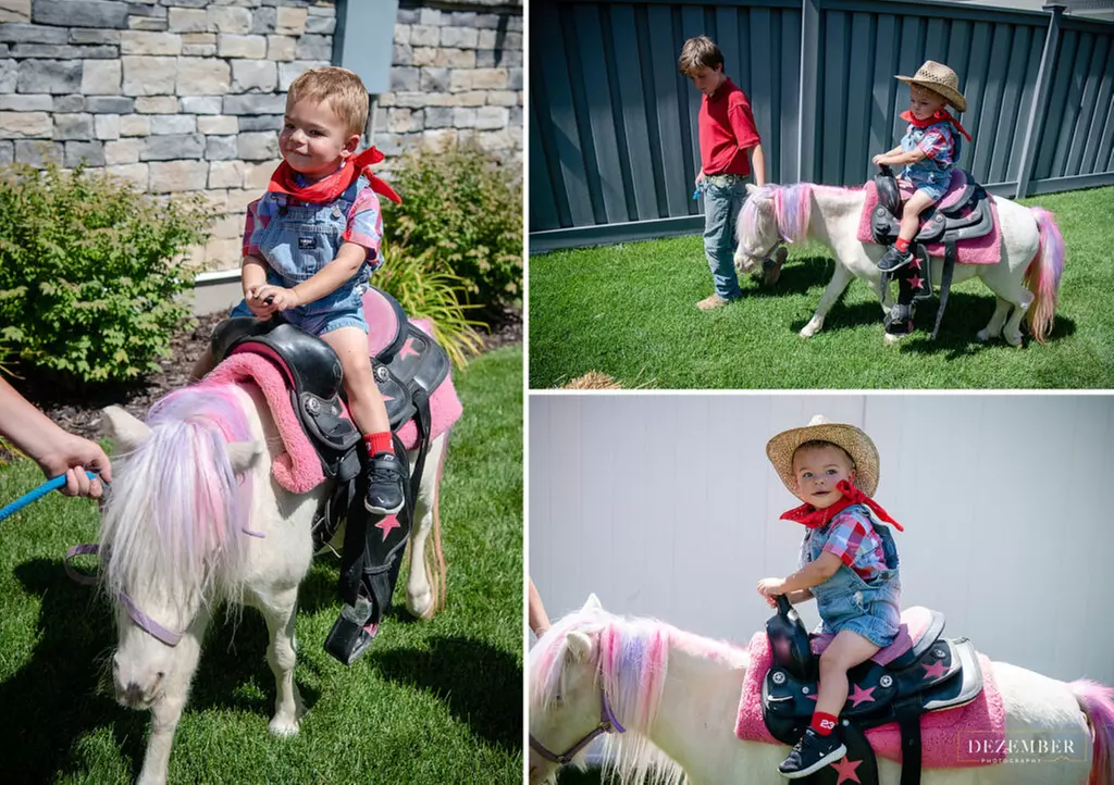 Up to 47% Off on Petting Zoo at Utah Petting Zoo at Ivie Acres Farm - Second Medium