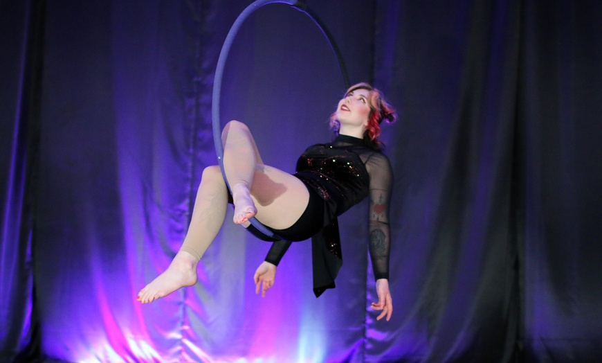 Image 4: Experience The Thrill Of Aerial Or Bungee Fitness