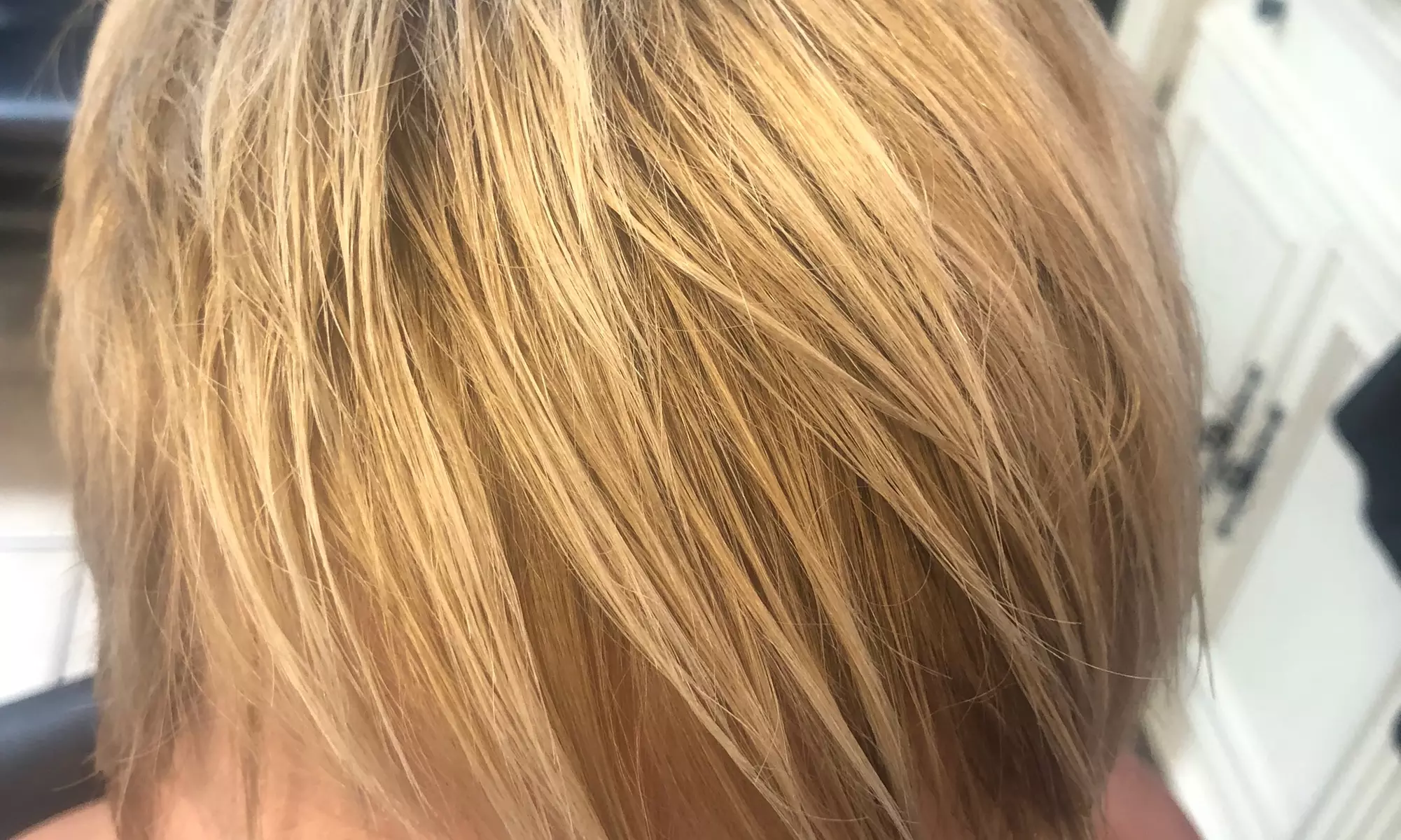 Up to 42% Off on Salon - Hair Conditioning at Jeannettes Haircuts&Color, LLC. - Primary Image