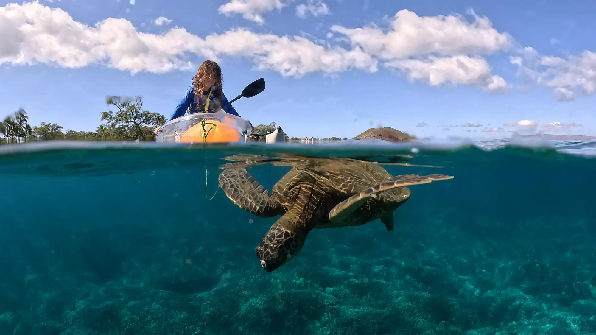 Clear Kayak & Snorkel Tour at Turtle Town, Maui