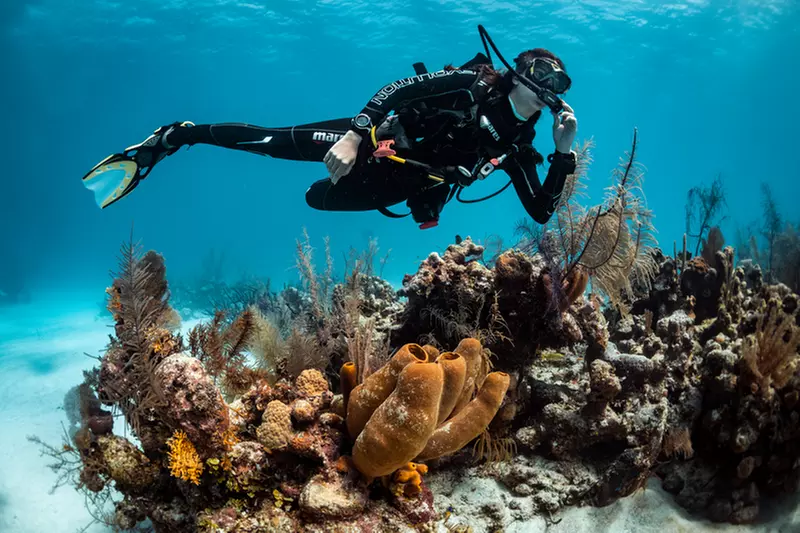 Dive Into Adventure with SSI Open Water Scuba Certification at Milinko’s Scuba & Swim (Up to 25% Off) - Primary Image