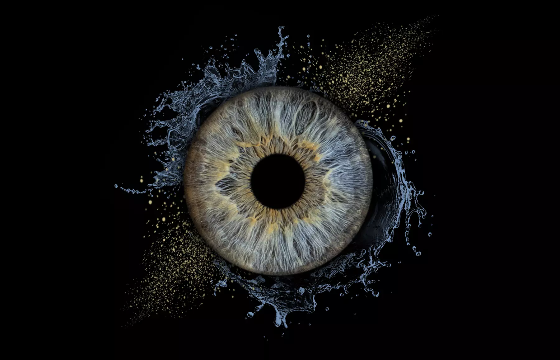 Up to 27% Off on Photo Processing at Scio Art