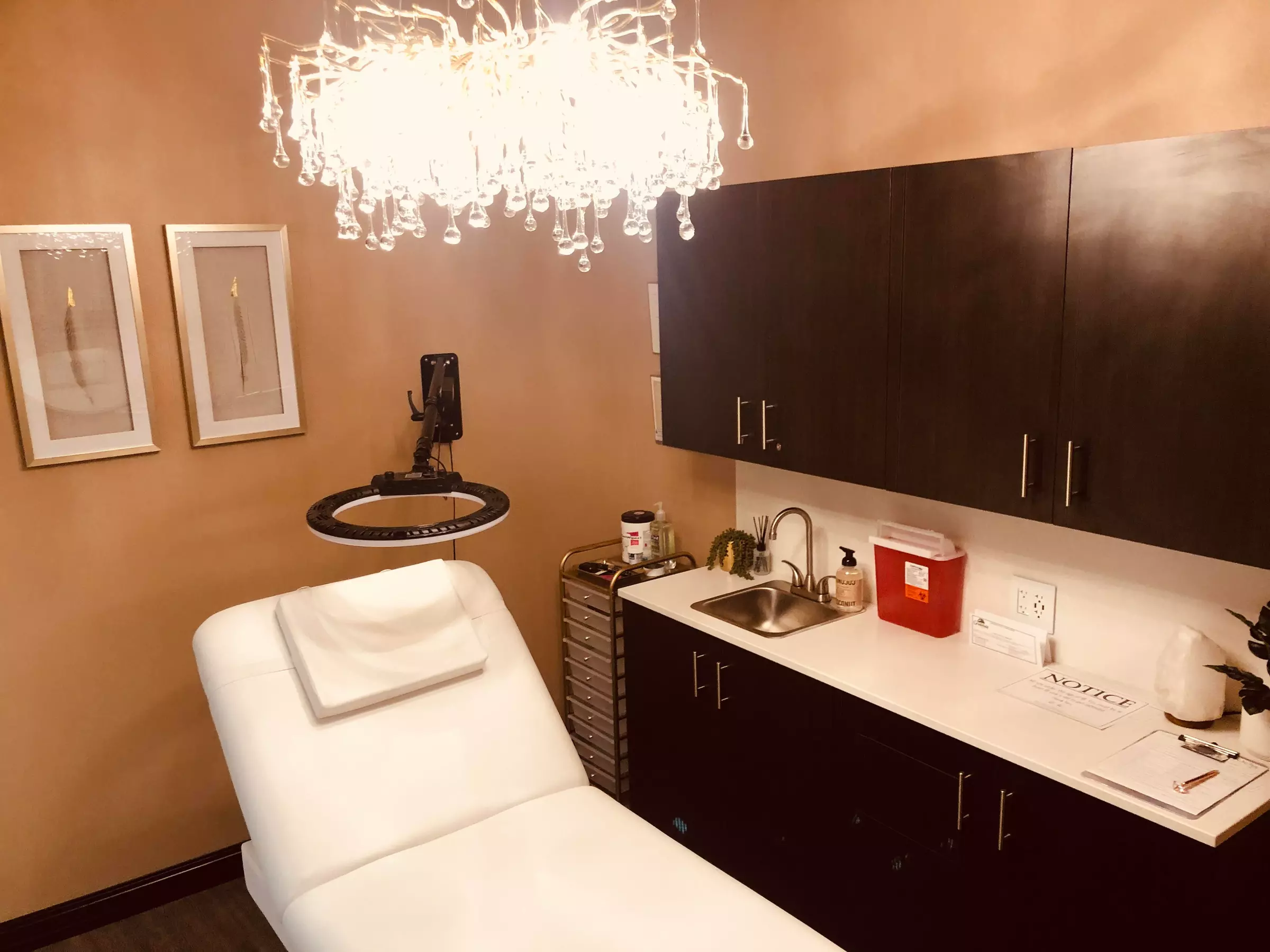 Up to 68% Off on Microblading at Skylar Renee Beauty LLC - Primary Image