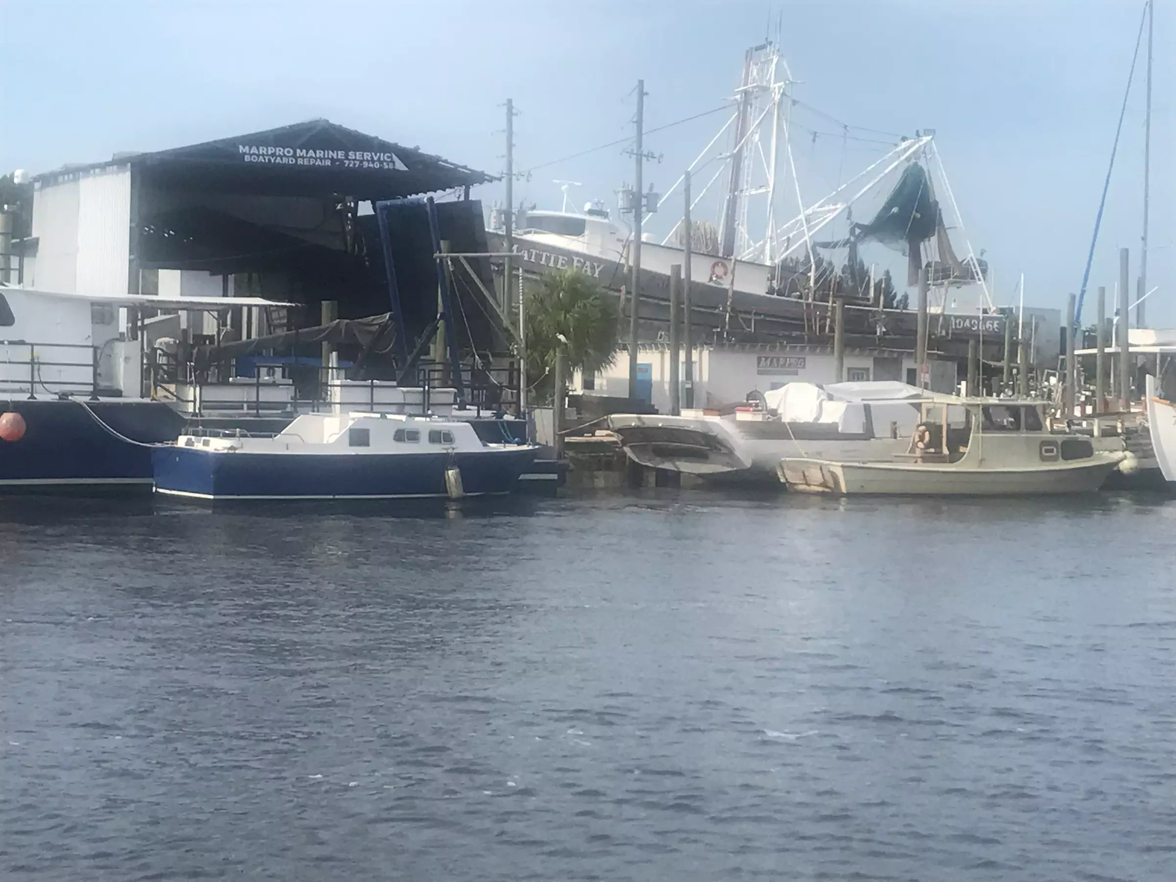 Explore Tarpon Springs on a Guided Walking Tour Adventure