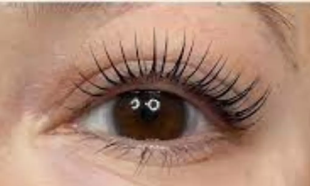Up to 25% Off on Eyelash Perm at Nizhion Skin - Primary Image