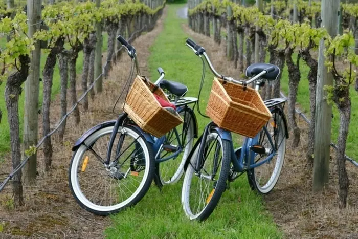 Up to 10% Off on Wine Festival at East End Bike Tours - Primary Image