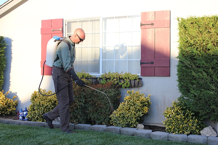 Up to 12% Off on Pest Control Service - General at New Champion Pest Control