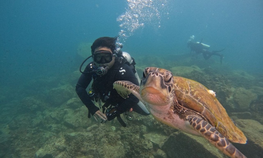 Image 1: Snorkeling Adventure with Complimentary Photos Included