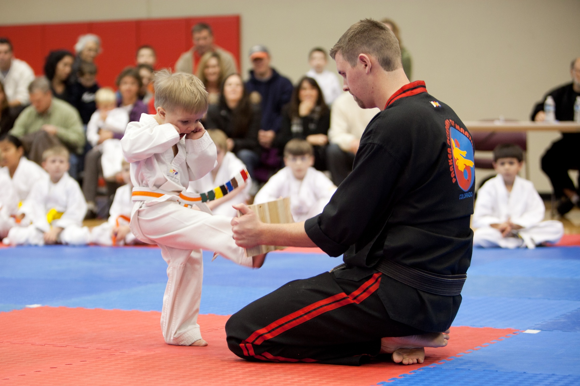 Unlimited Taekwondo Classes for Kids and Adults for 2 Weeks or 1 Month