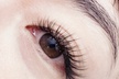 Up to 37% Off on Eyelash Extensions at See U Beauty - Second Medium