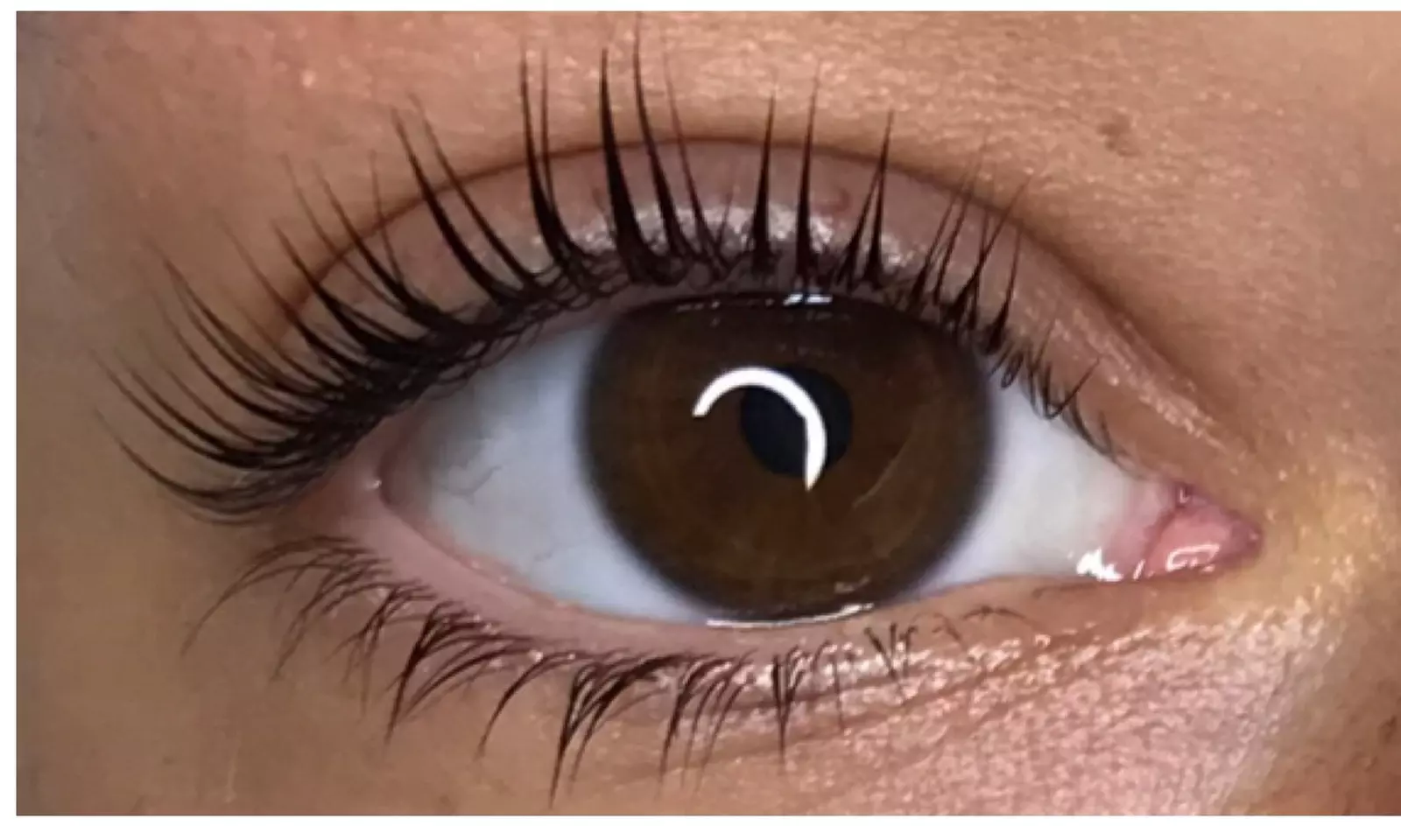 Up to 40% Off on Eyelash Perm at Prime Looks Permanent Makeup& Microblading Studio - Primary Image