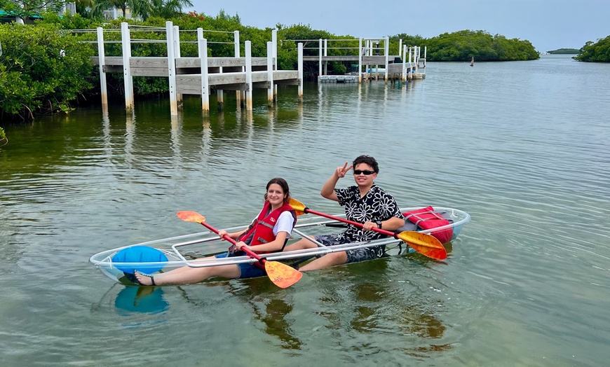 Image 2: 2-Hour Guided Clear or Regular Kayak Eco Tours (6+) for One / Two