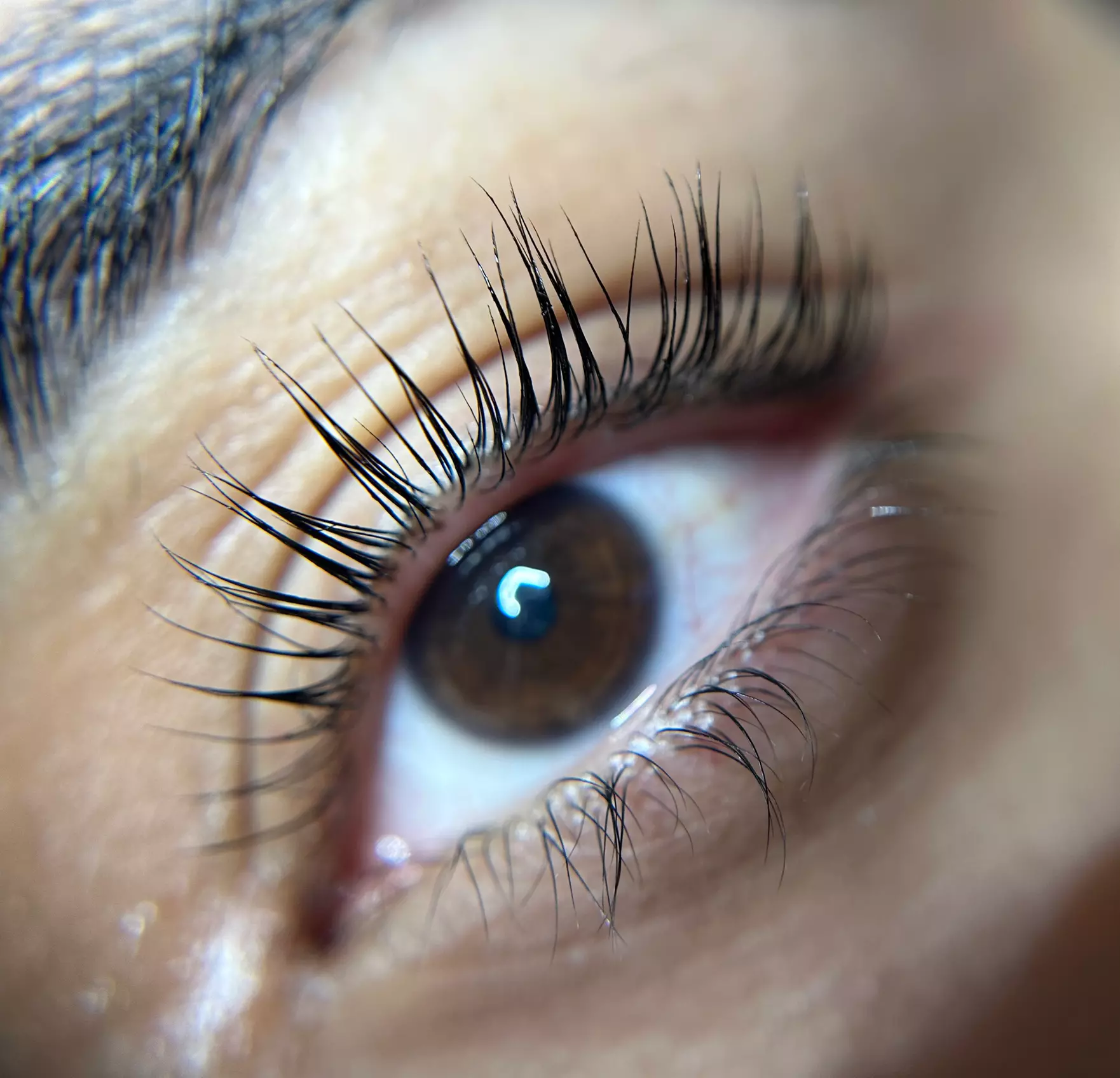 Get Beautifully Curled Lashes with Keratin Lash Lift and Tint