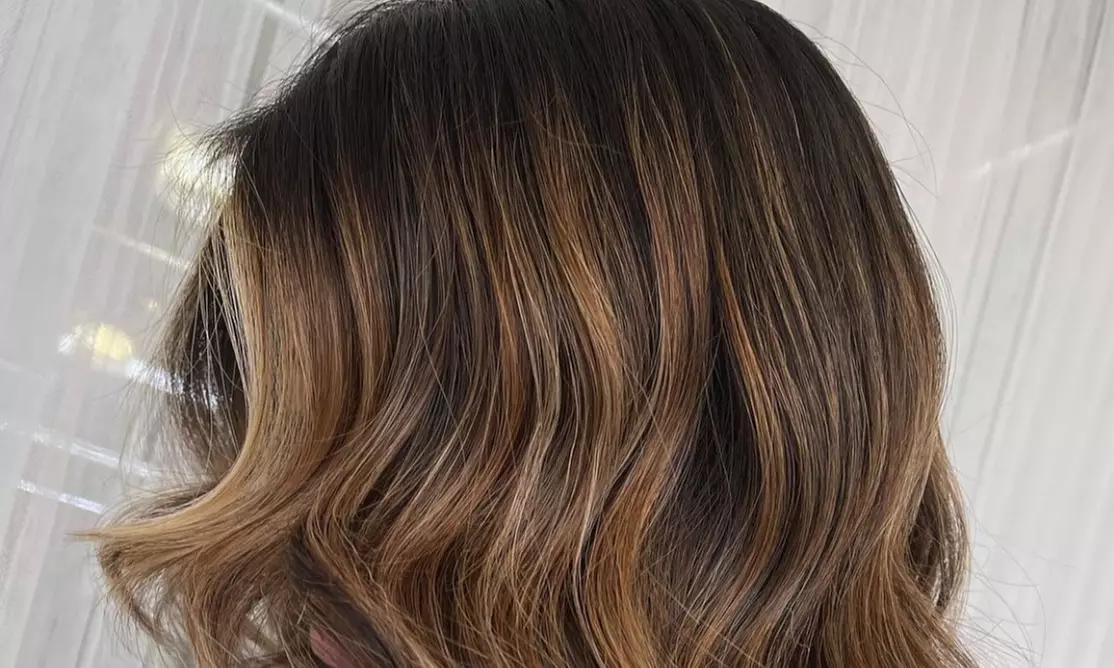 Haircut with Blowout, Color, Highlights and More 