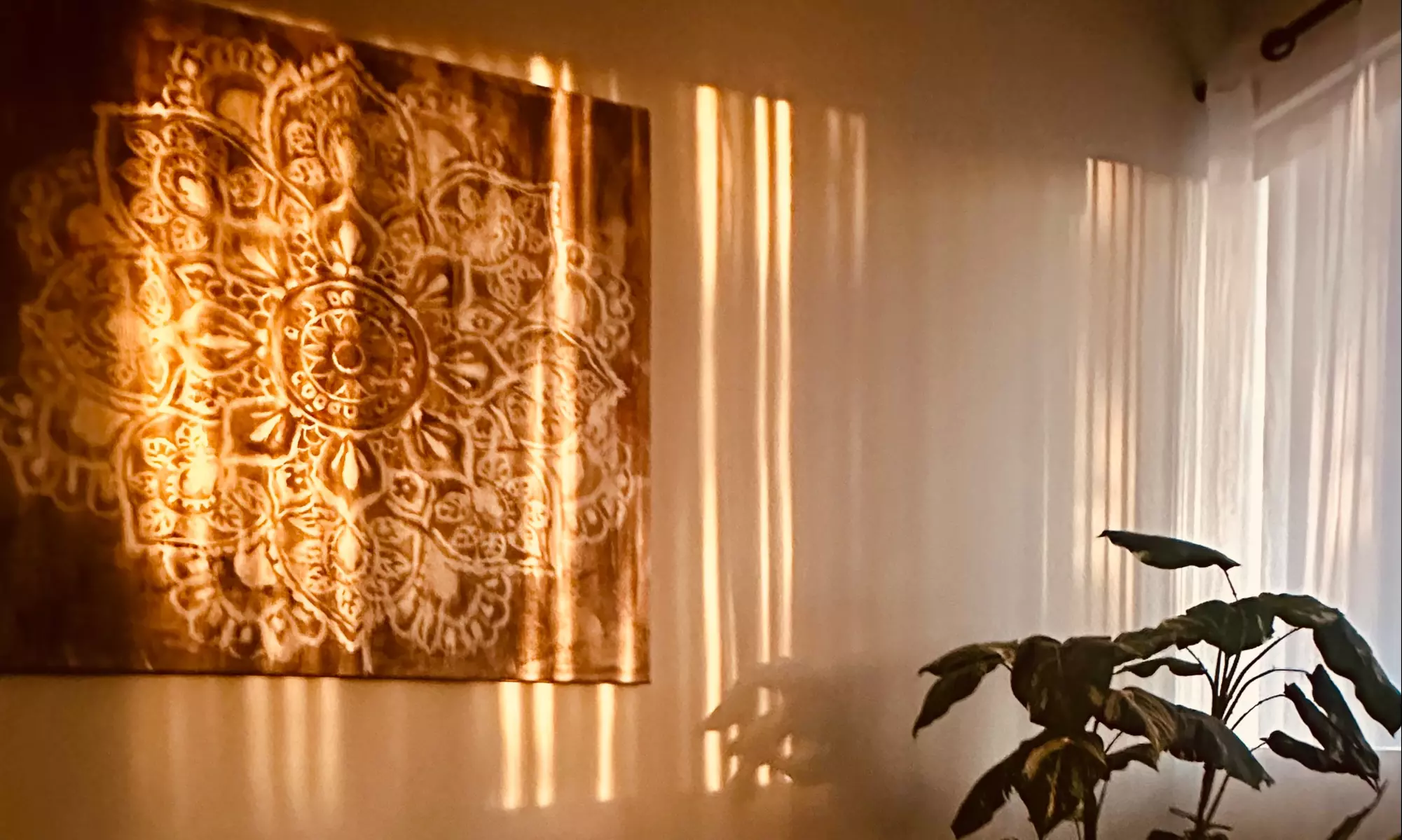 Up to 43% Off on Colonic / Hydro Colon Therapy at SoulSpring Oasis