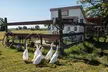 Up to 45% Off on One Hour Farm Visit at Humberstone Ranch - Second Medium