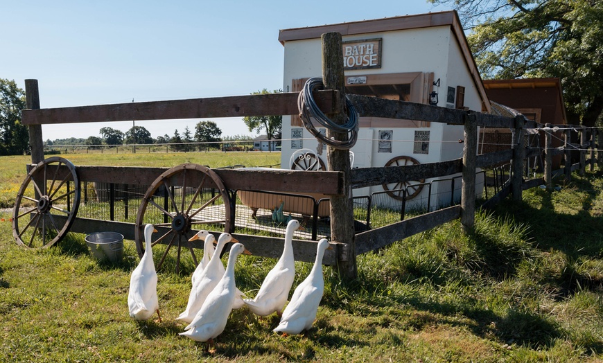 Image 4: Up to 45% Off on  at Humberstone Ranch