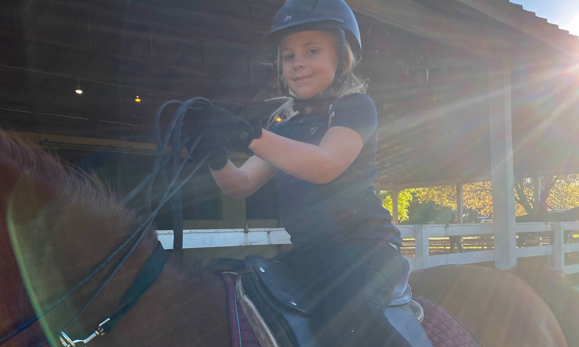 Discover an Introductory Horseback Riding Lesson at Paragon Stables with up to 45% off, perfect for all experience levels - Second Medium