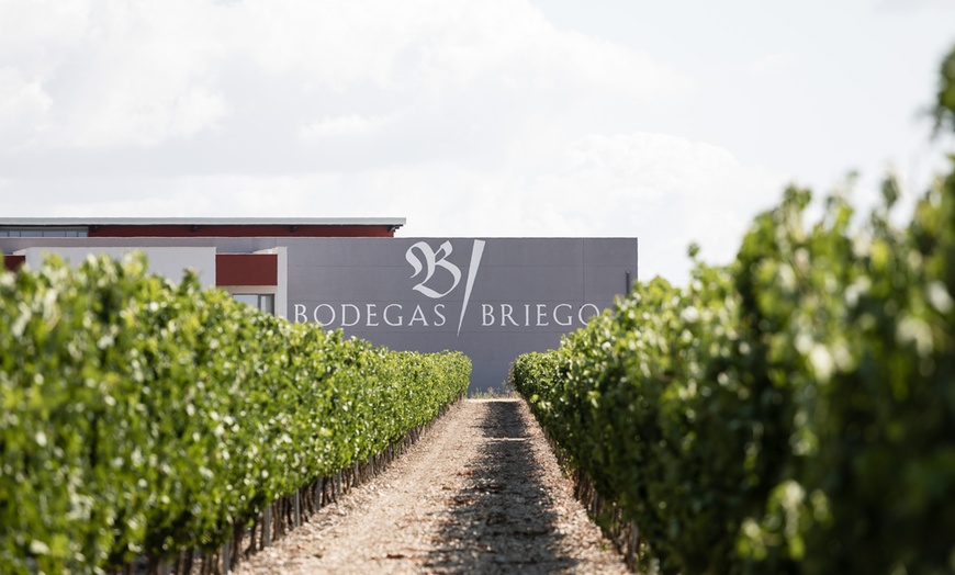 Image 1: Visita guiada a la bodega y cata de vino en Bodegas Briego