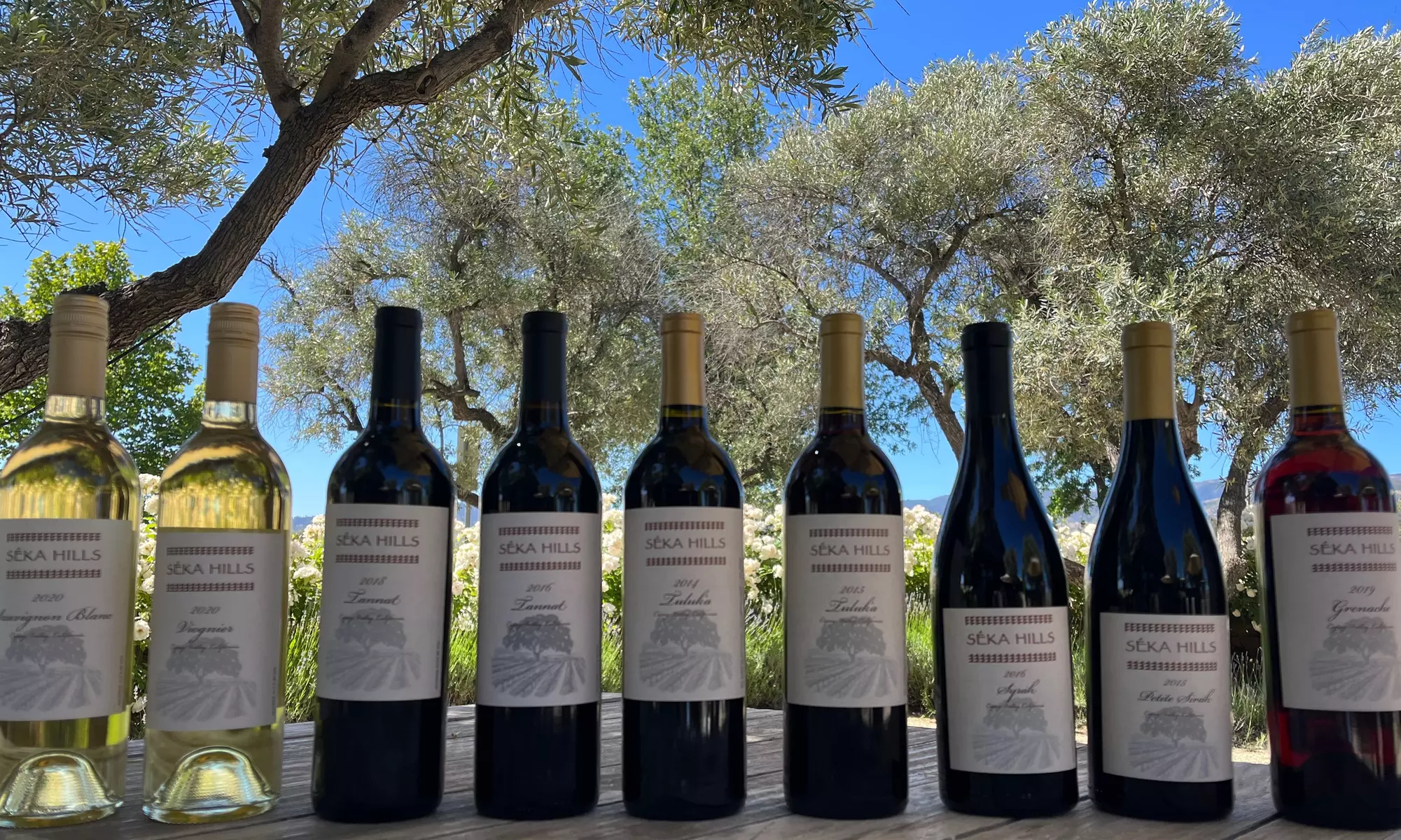 Wine Tasting, Olive Mill Tour with Olive Oil Tasting for Two or Four